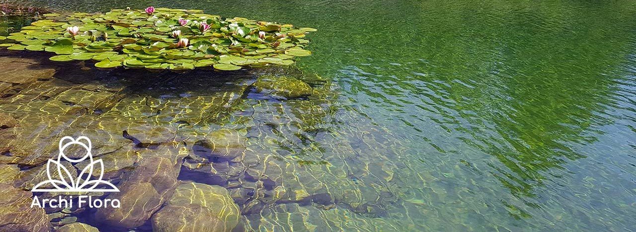 Прозрачная вода в плавательном пруду